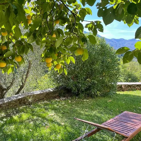 Stunning In With Wifi Barga